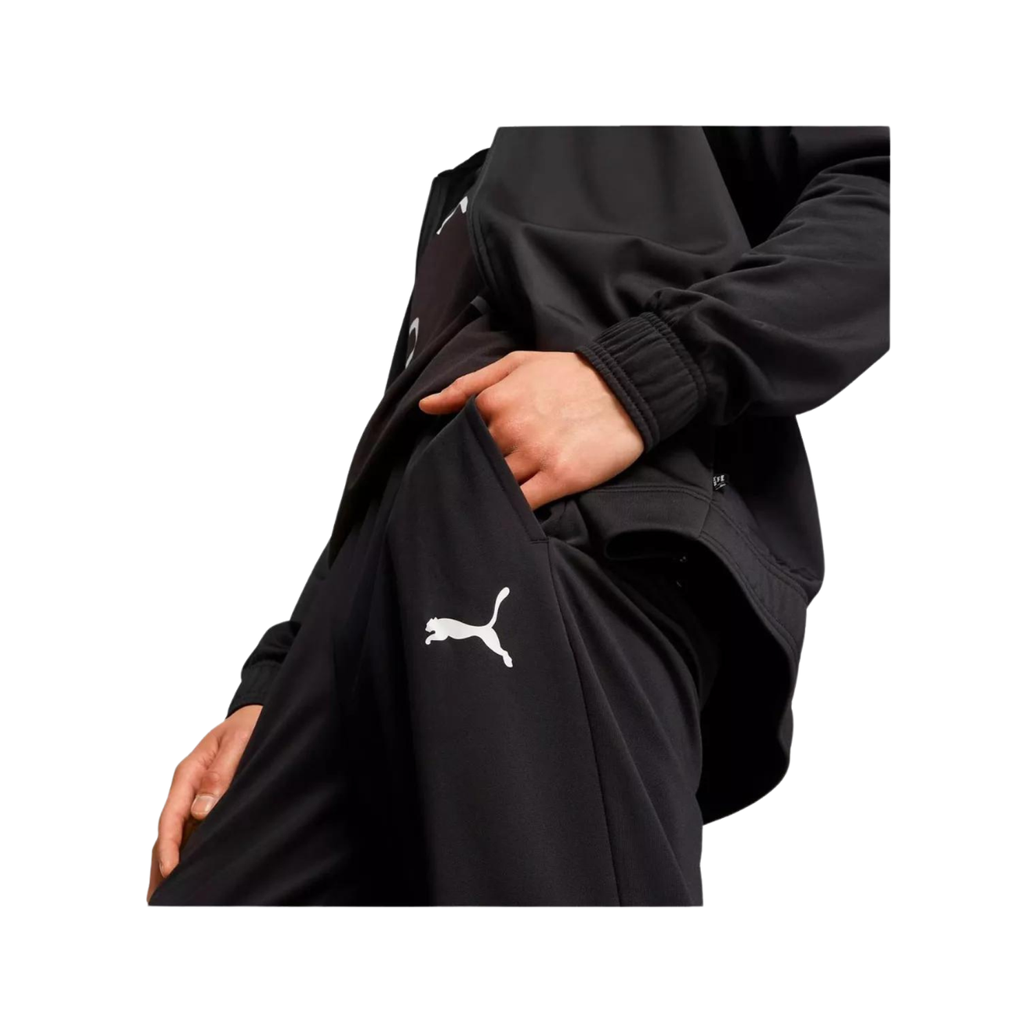 png_1500x1500_62398005