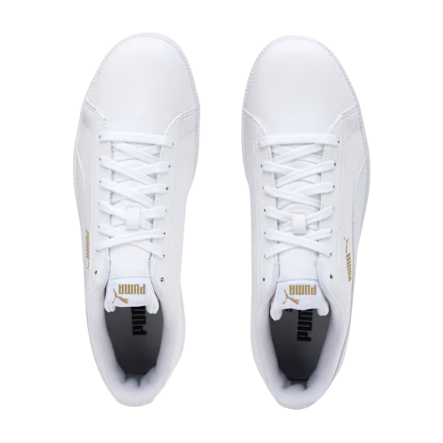 png_1500x1500_67927595